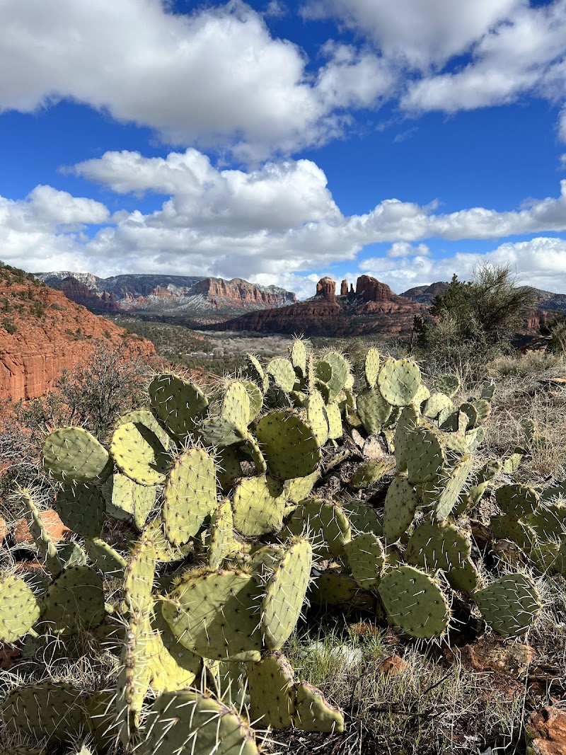 Scorpion Trail Trailhead image 2
