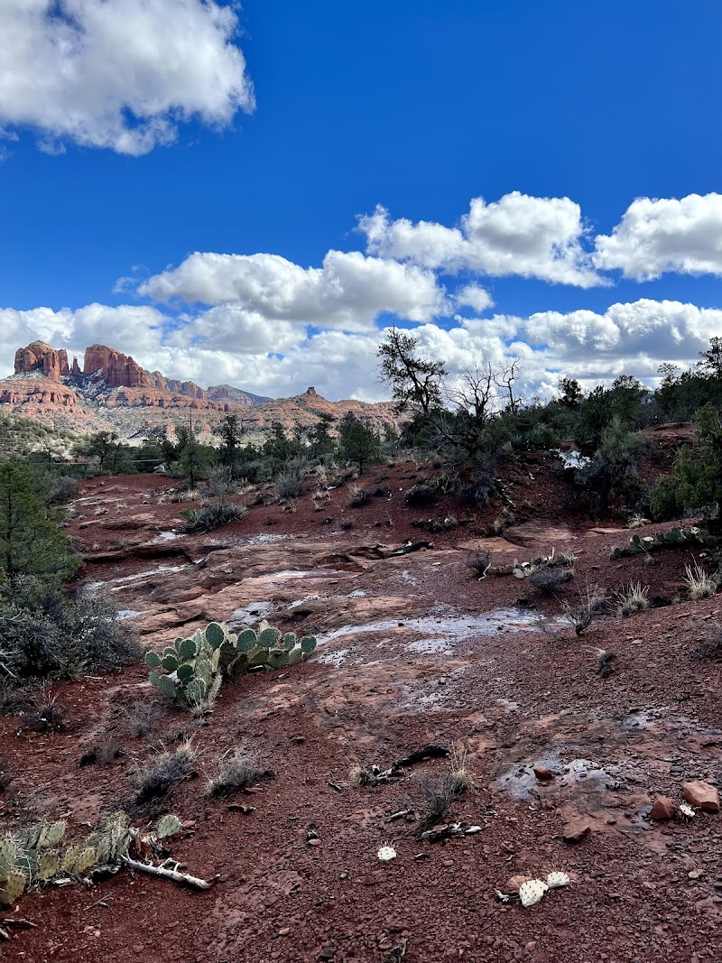 Scorpion Trail Trailhead image 3