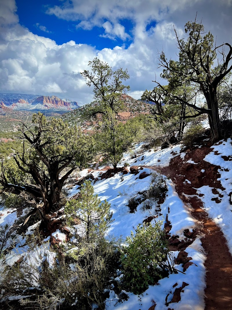 Scorpion Trail Trailhead image 4