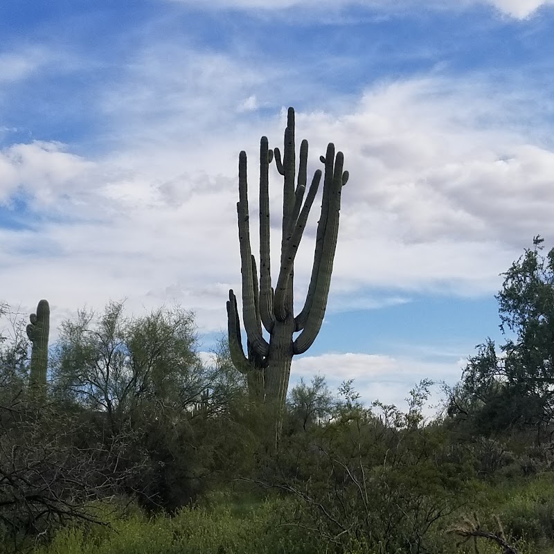 Scorpion Trail Trailhead image 5