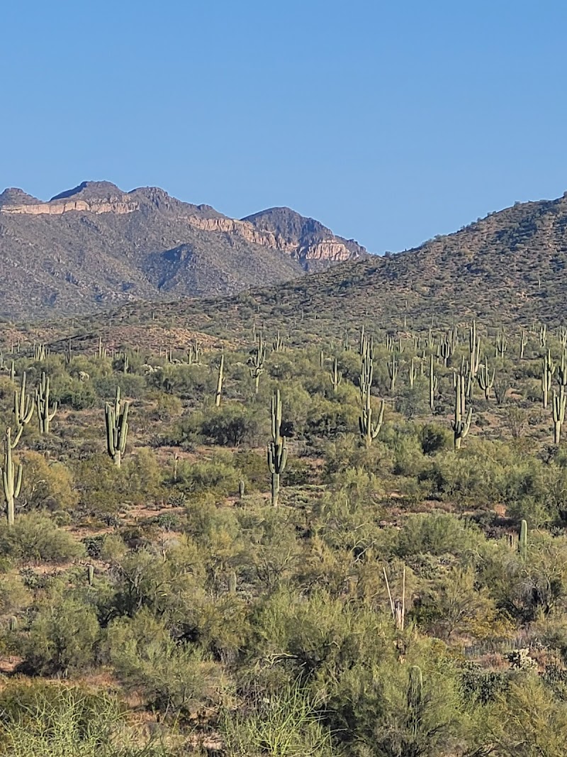 Coon Bluff Loop image 2