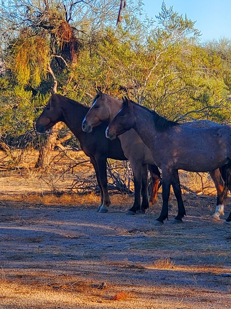 Coon Bluff Loop image 4