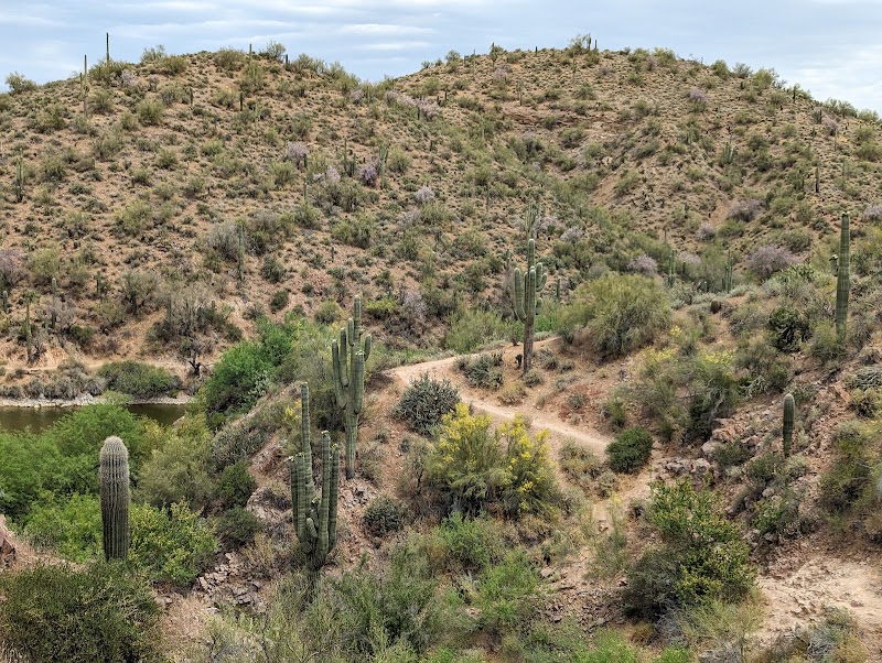 Butcher Jones Hiking Trailhead image 4