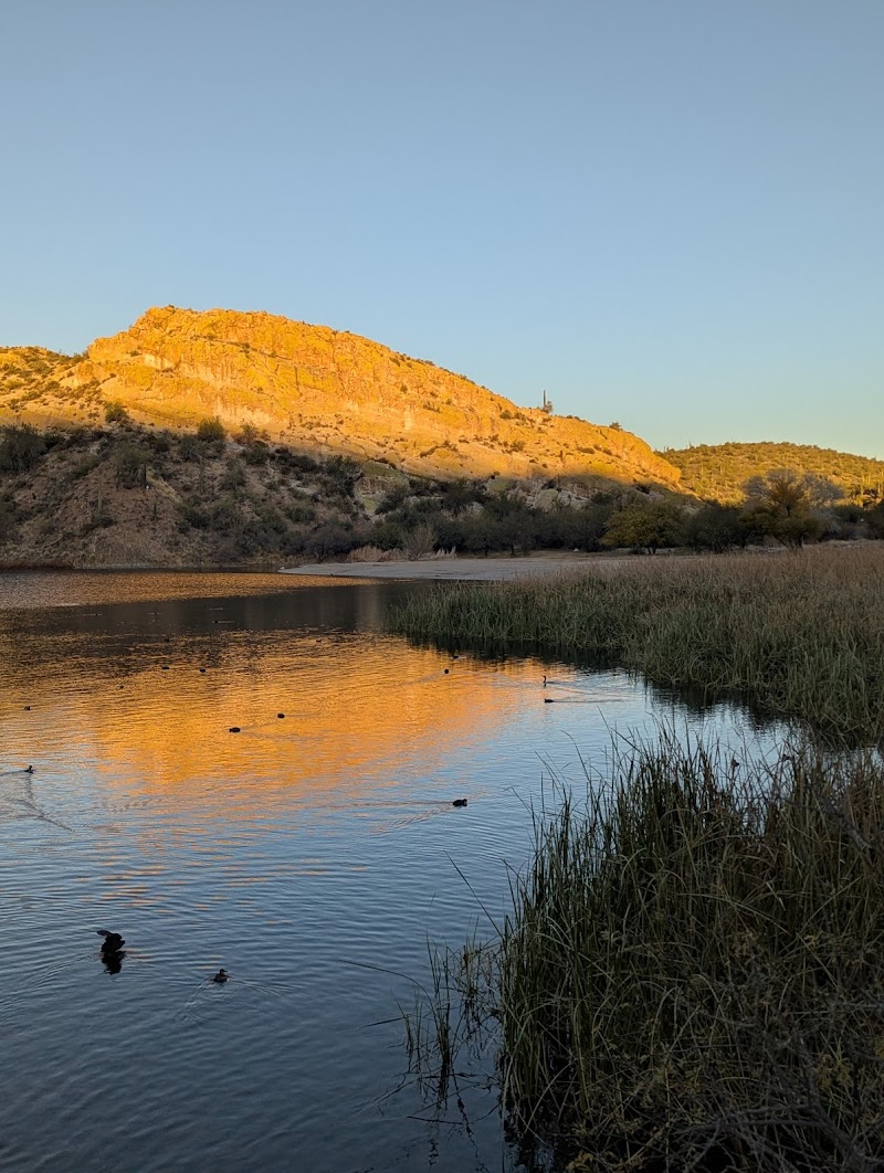 Butcher Jones Hiking Trailhead image 5