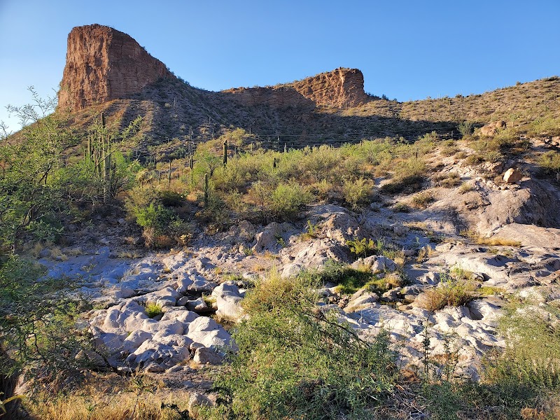 Acacia Recreation Site image 5