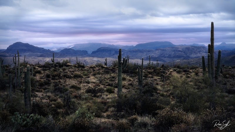 Four Peaks Wilderness Area image 2