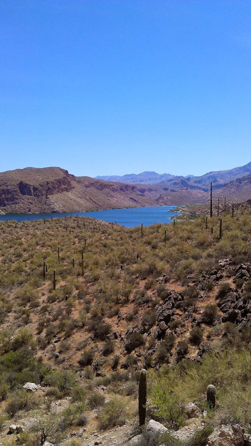 Palo Verde Recreation Site 147 image 2