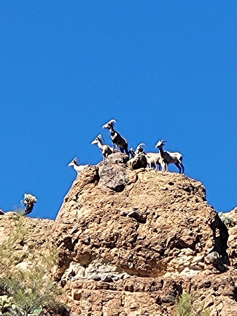 Skeleton Cave image 4
