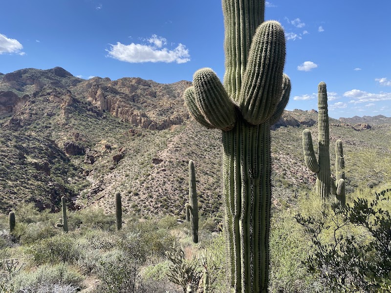 Boulder Canyon Trailhead image 5