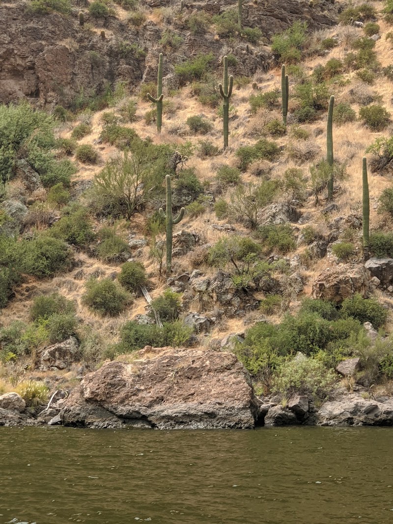 Laguna Boat Ramp image 3