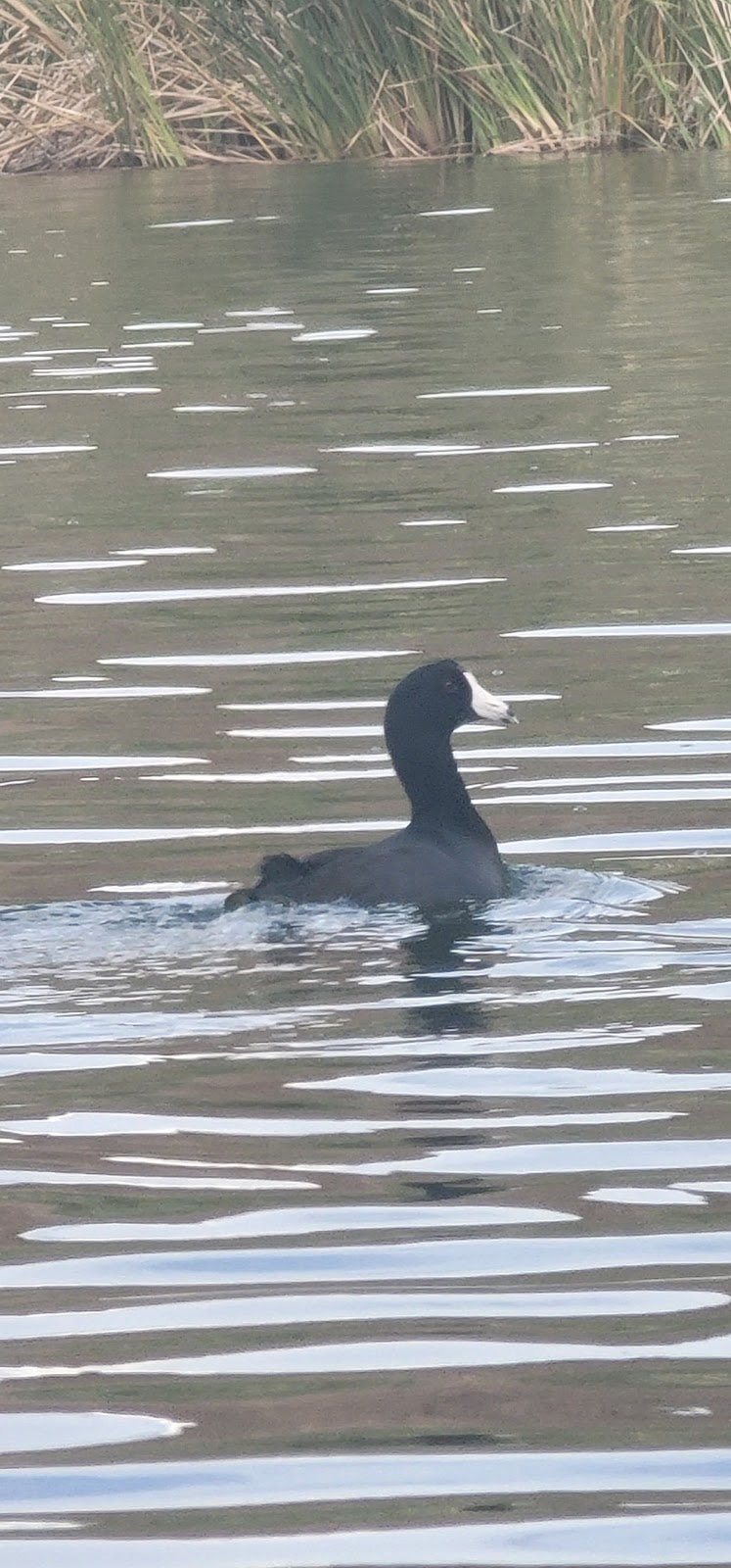 Boulder Recreation Area image 3