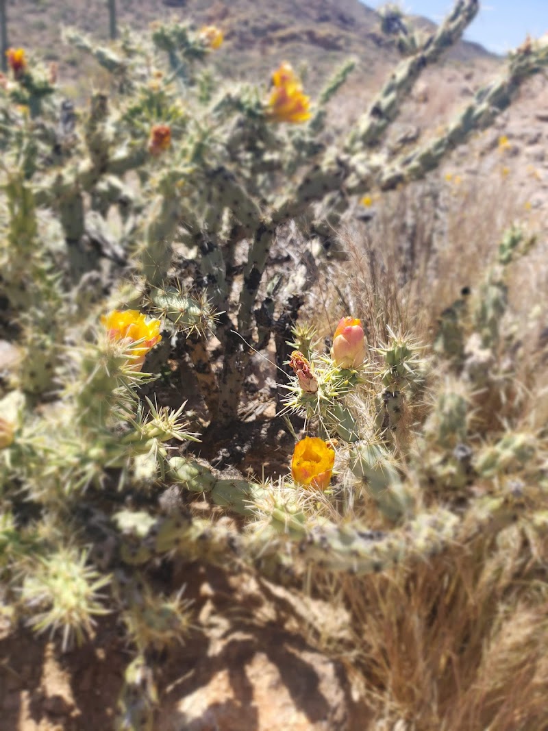 Apache Trail Corral image 2