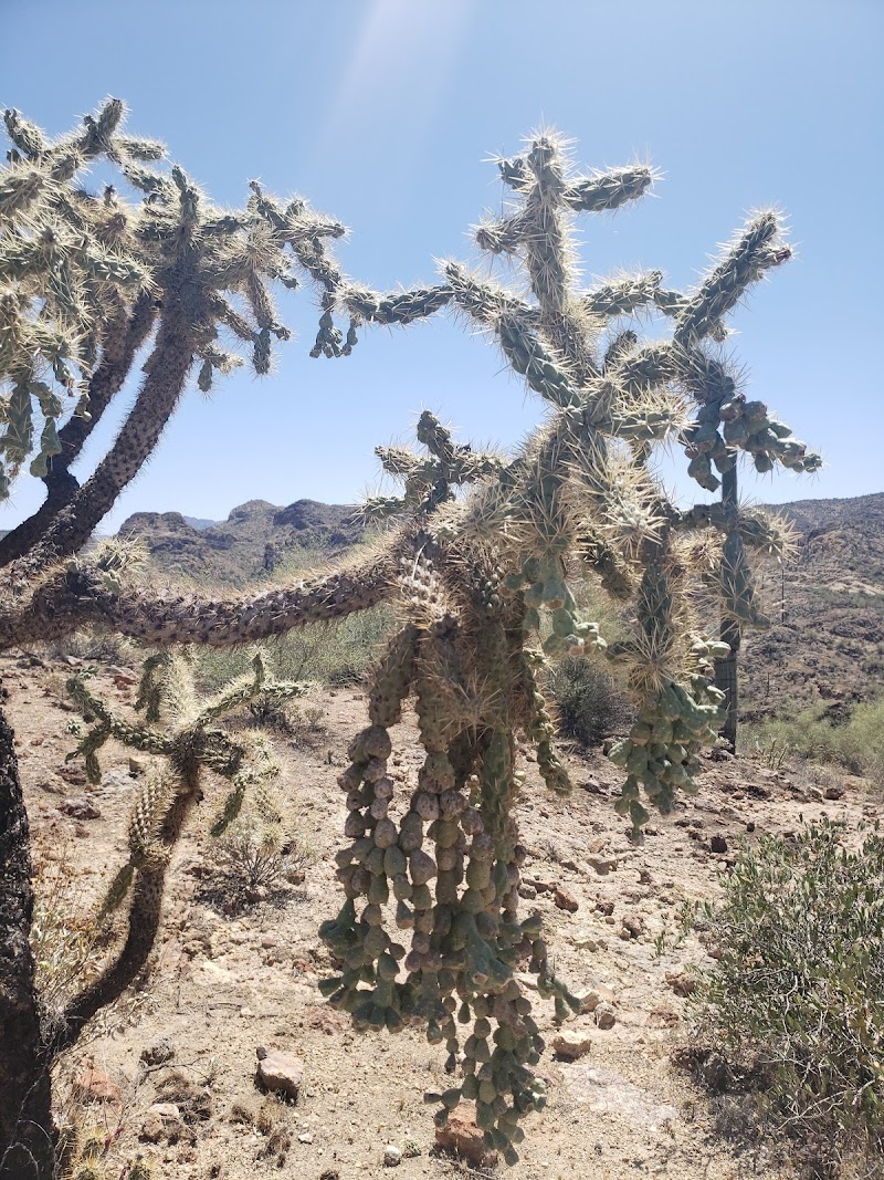 Apache Trail Corral image 4