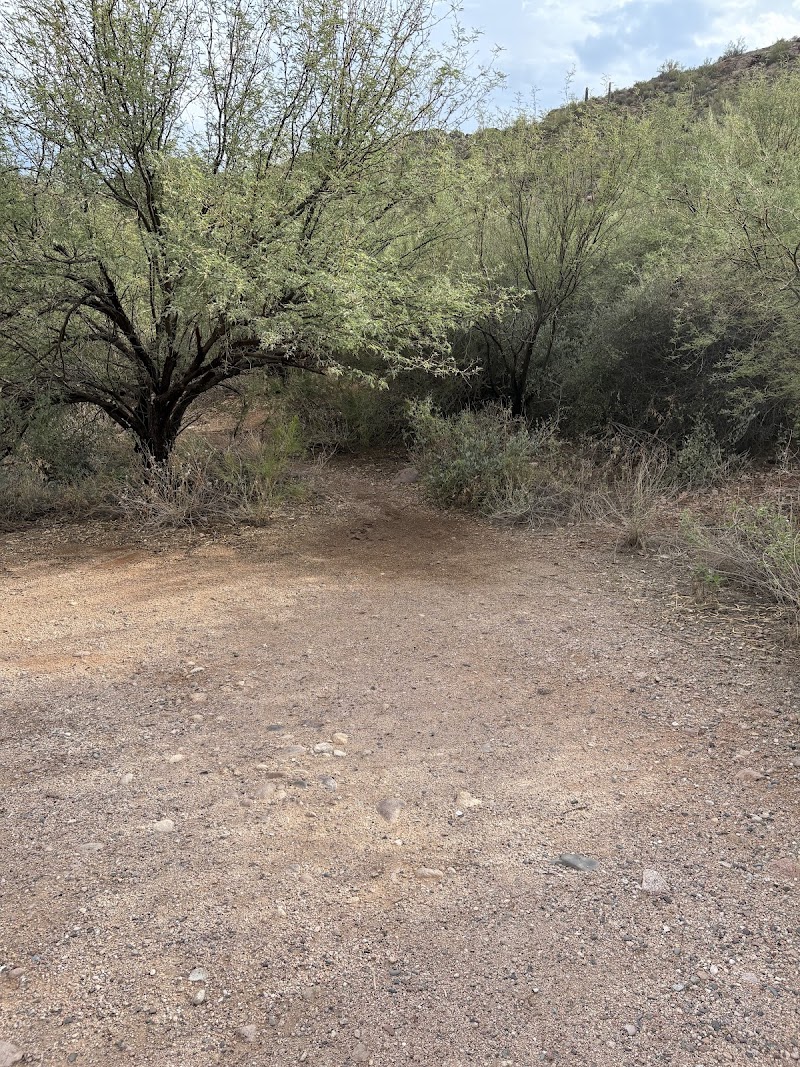 Lizard Island, Canyon Lake, Arizona image 4
