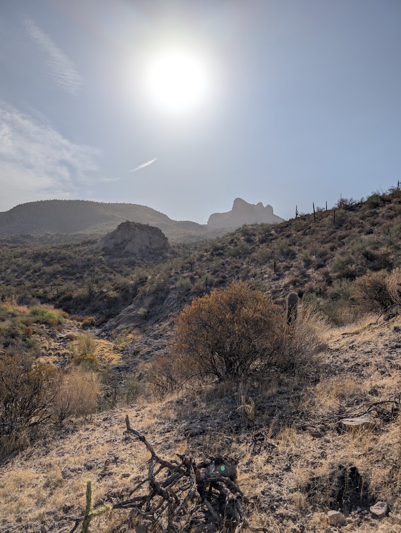 Peters Canyon Trail head image 5