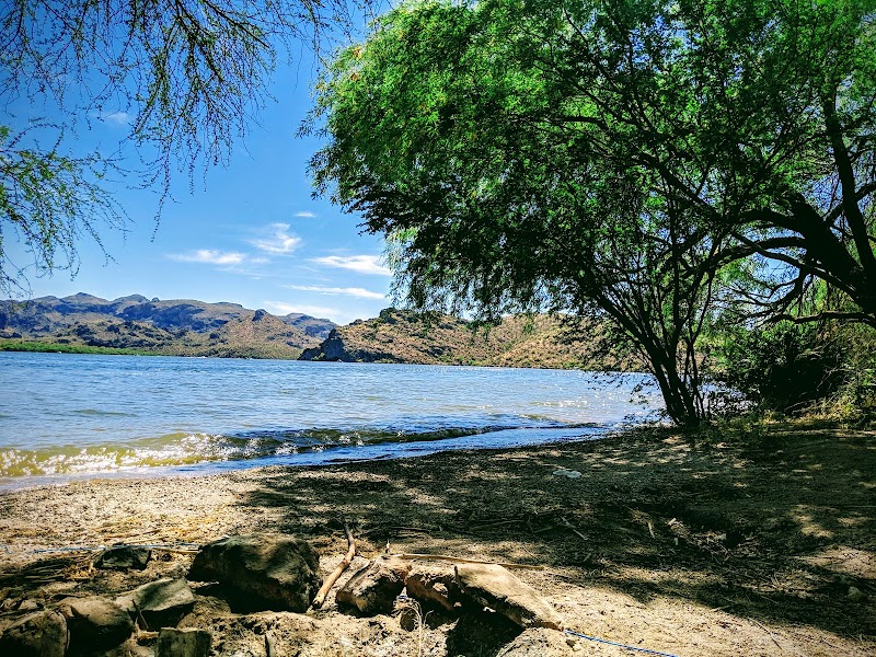 Saguaro Cove Number 3 image 1