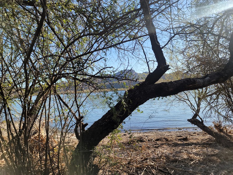 Saguaro Cove Number 3 image 3