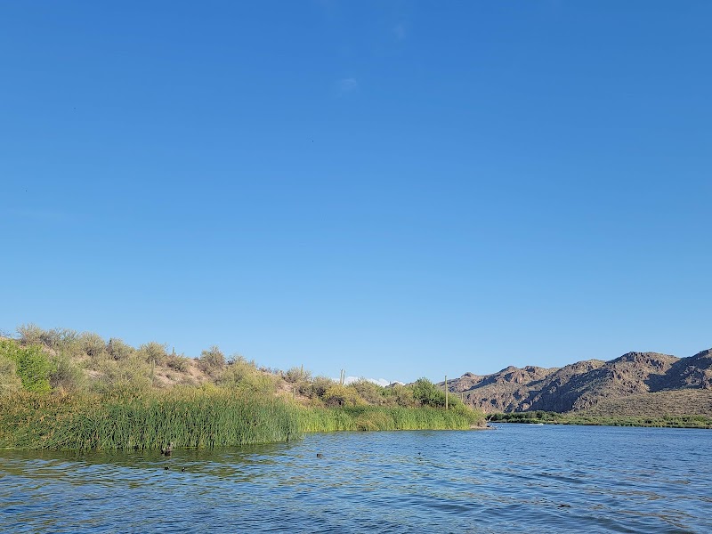 Saguaro Cove Number 3 image 4