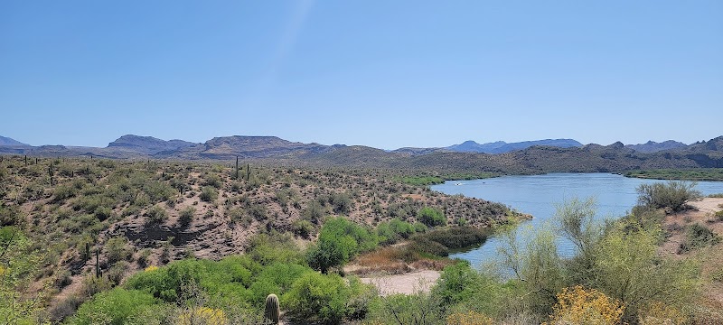 Saguaro Cove 2 - Medium 4x4 image 3