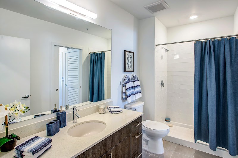 Elements on Third image 4