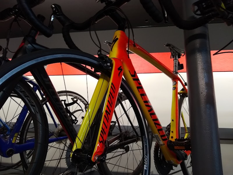 Action Wheelsport image 2