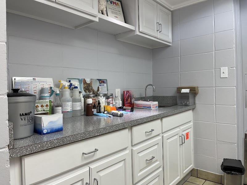 Skyway Animal Hospital image 3