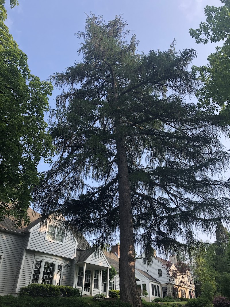 Shorewood Hills image 2