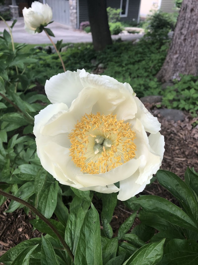 Shorewood Hills image 3