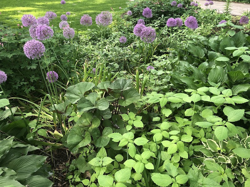 Shorewood Hills image 5