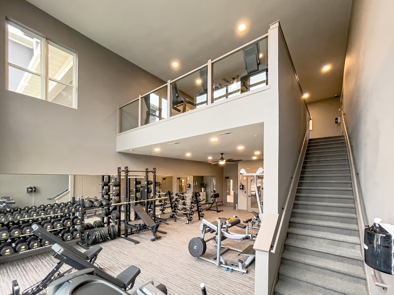 Goldleaf Development image 2