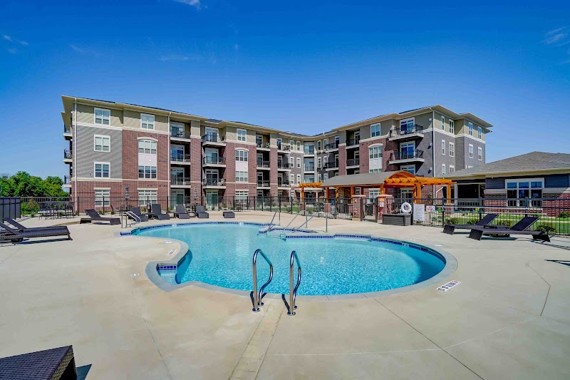 Goldleaf Development image 3