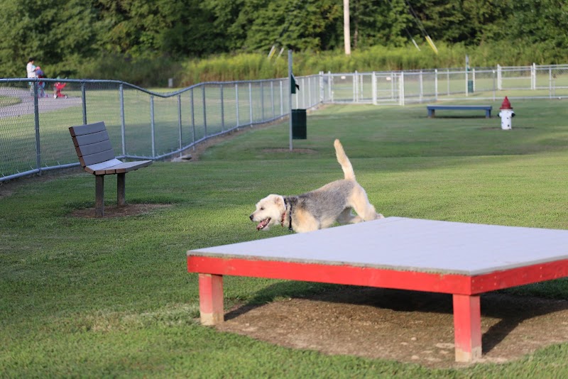 Blake's Bark Park image 2