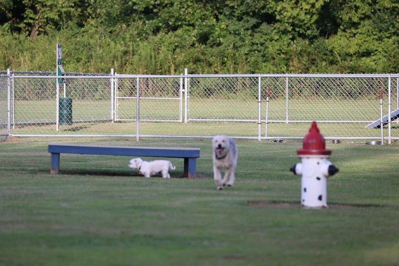 Blake's Bark Park image 4