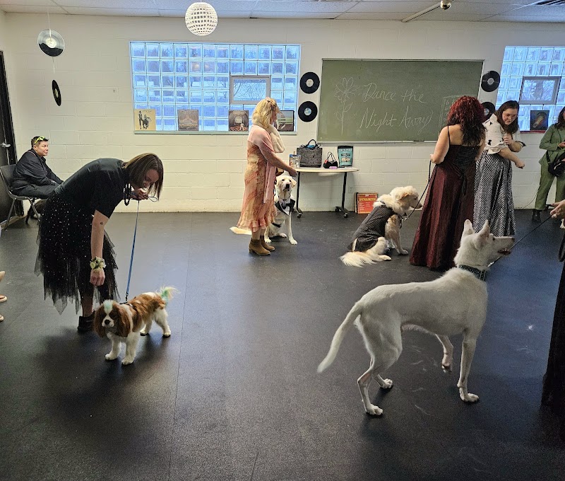 A Pleasant Dog image 3