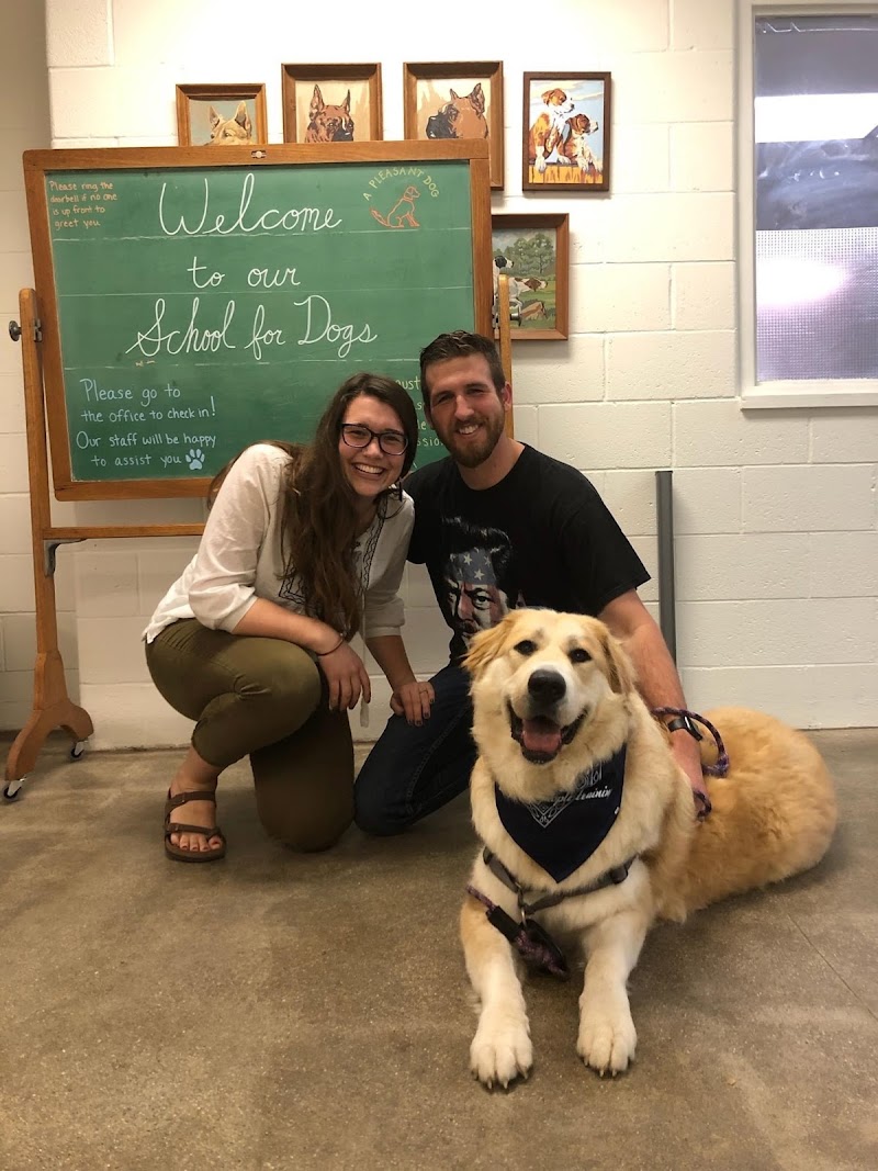 A Pleasant Dog image 4