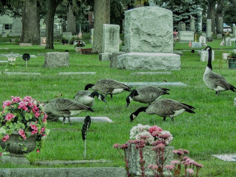 Fairplains Cemetery image 1