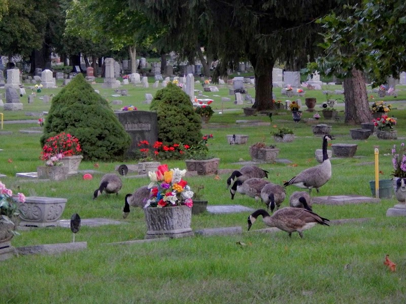 Fairplains Cemetery image 4