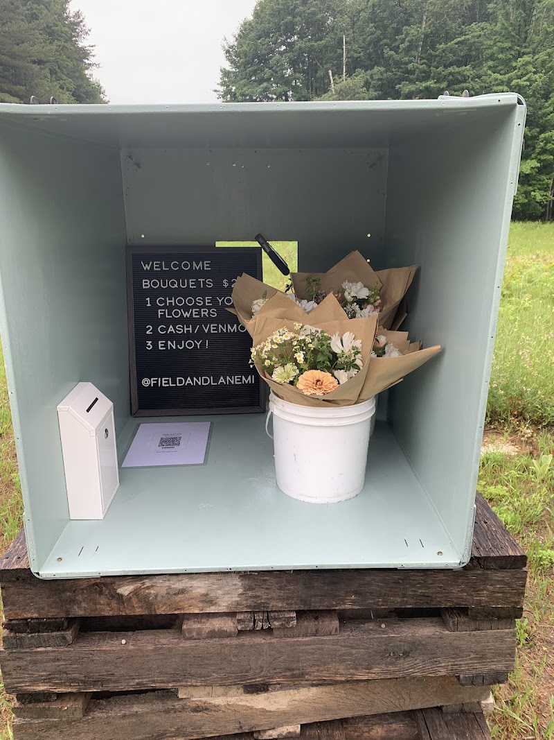 Field and Lane image 1