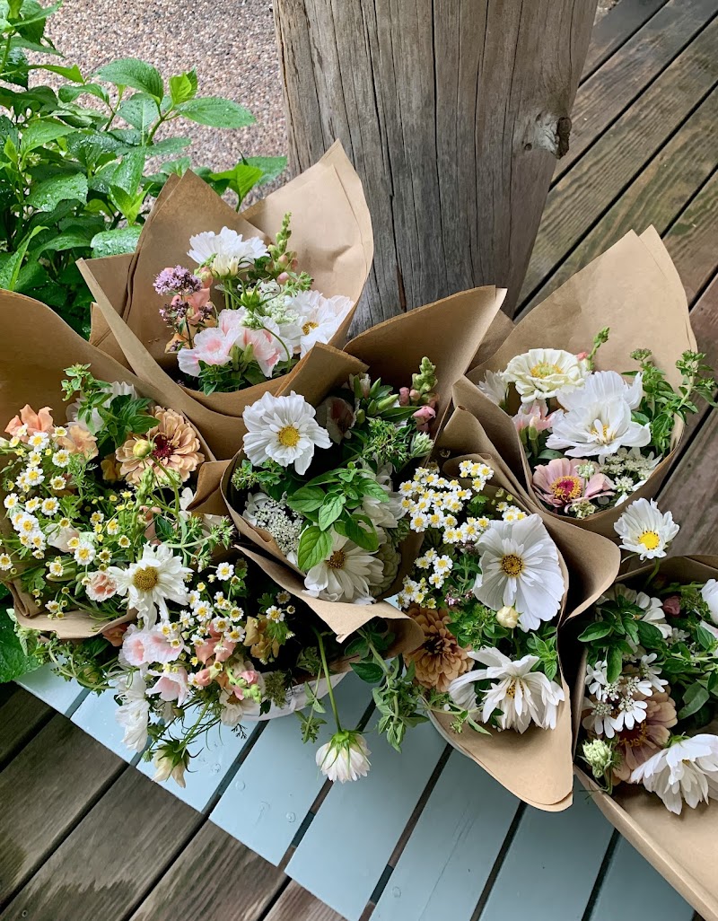 Field and Lane image 2