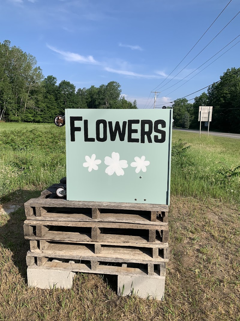 Field and Lane image 5