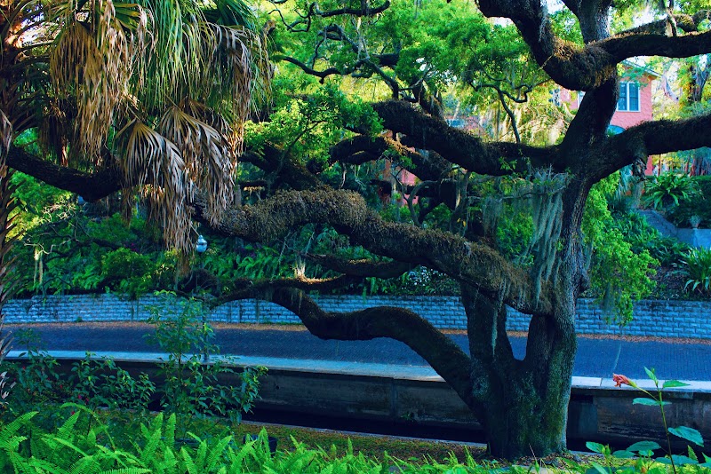 Historic Roser Park Neighborhood Association image 5