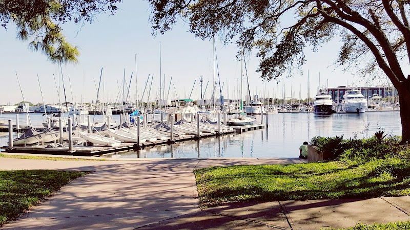 University of South Florida St. Petersburg Campus image 1