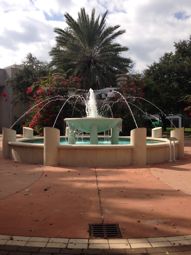 University of South Florida St. Petersburg Campus image 3