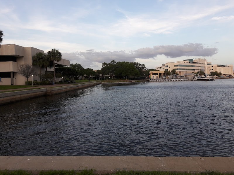 University of South Florida St. Petersburg Campus image 4