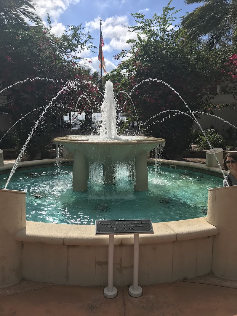 University of South Florida St. Petersburg Campus image 5