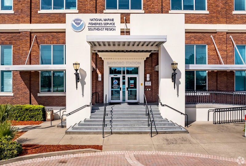 Pinstripe Marketing image 2