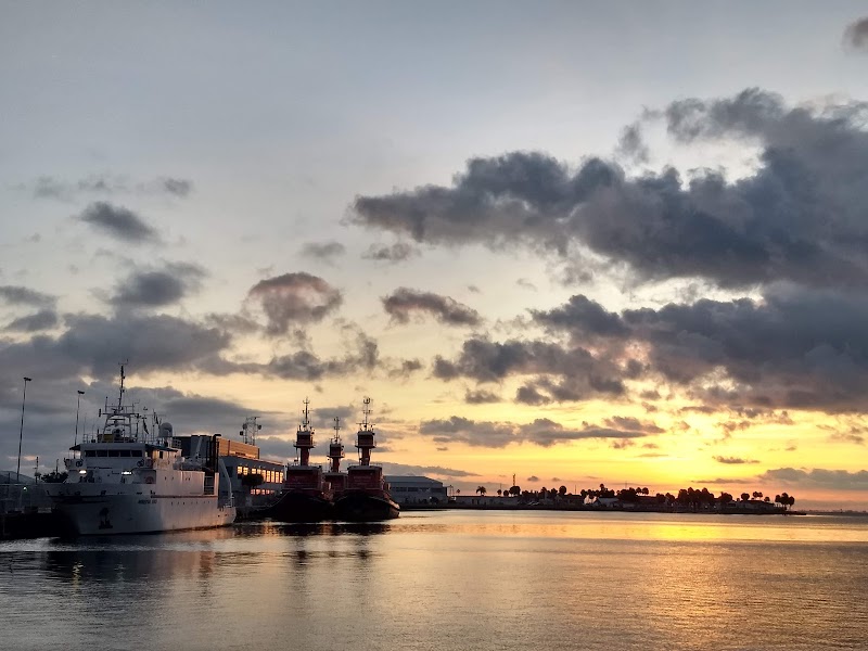 College of Marine Science image 1