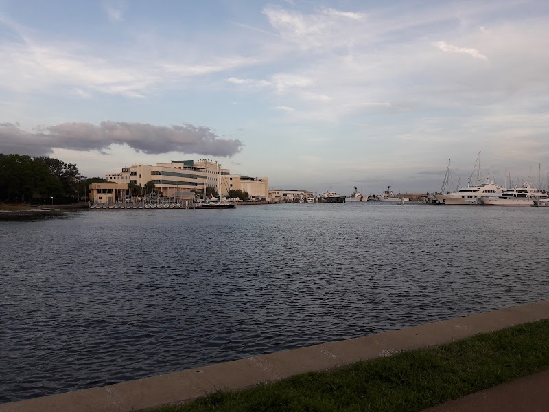 College of Marine Science image 2