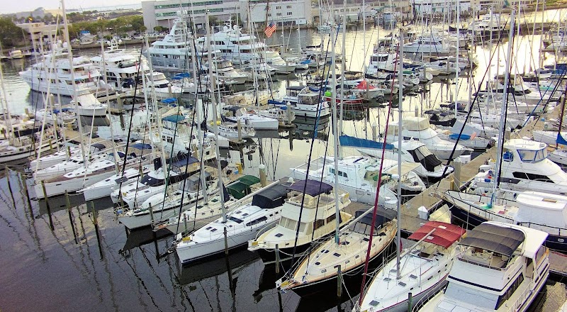 Joe Zammataro Yacht Broker image 3