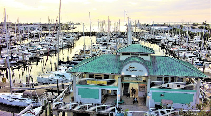 Joe Zammataro Yacht Broker image 4